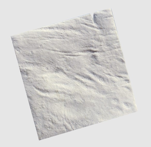 XCell Amnio Matrix™